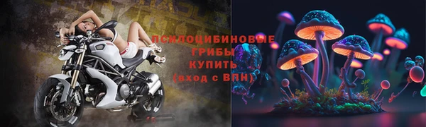 ПСИЛОЦИБИНОВЫЕ ГРИБЫ Магадан