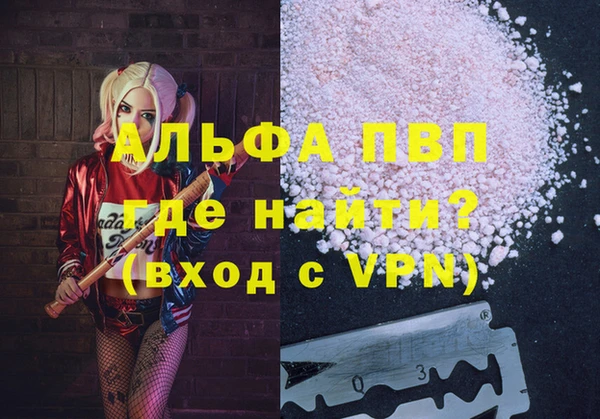 ГАЛЛЮЦИНОГЕННЫЕ ГРИБЫ Михайлов